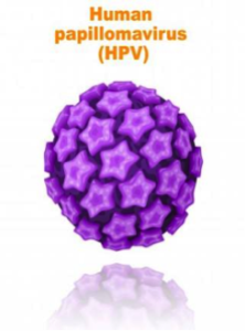 hpv