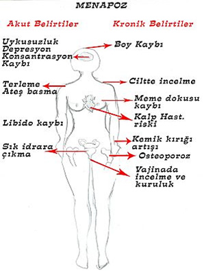 Menopoz Nedir?